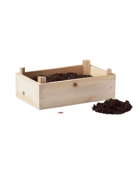 Strawberry kit in wooden crate STRAWBERRY