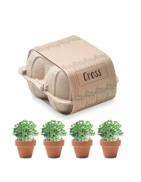 Egg carton growing kit CRESS