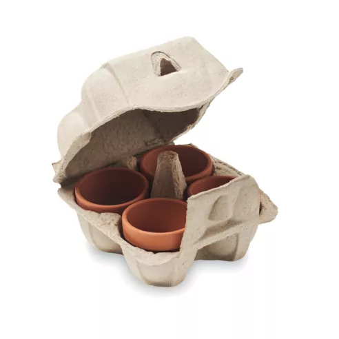 Egg carton growing kit CRESS