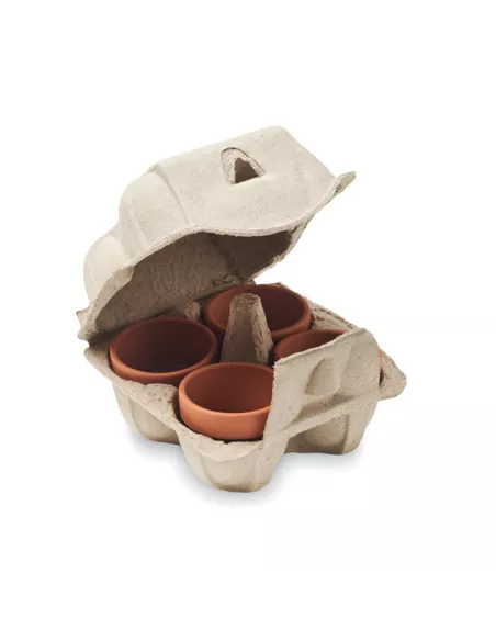 Egg carton growing kit CRESS