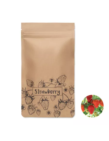 Strawberry growing kit FRESA KIT