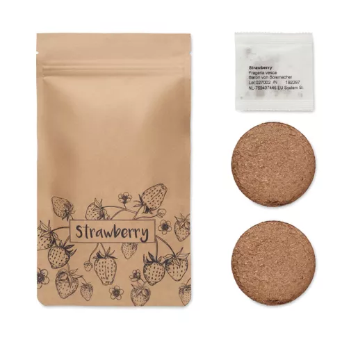 Strawberry growing kit FRESA KIT
