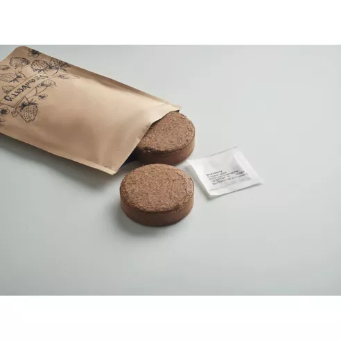 Strawberry growing kit FRESA KIT