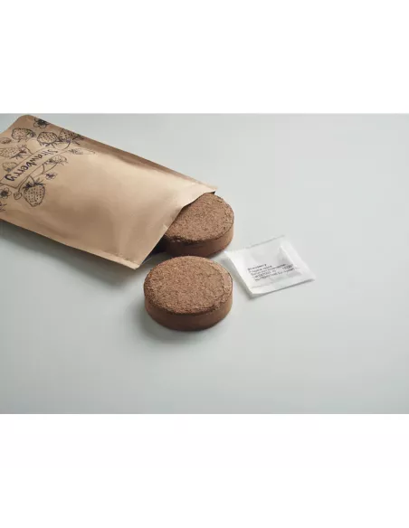 Strawberry growing kit FRESA KIT