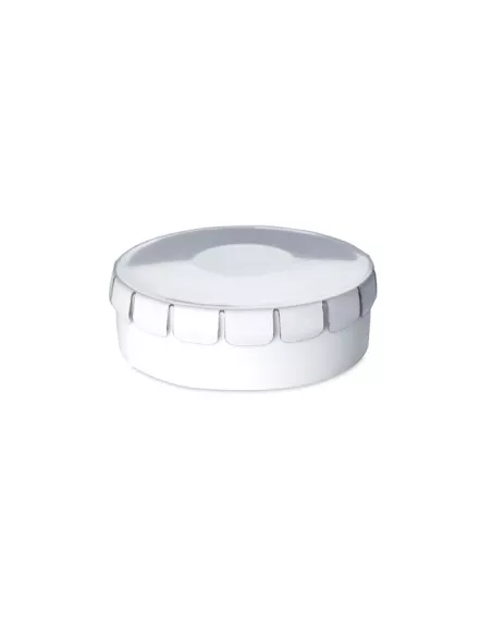 Sugar free mint box 12 gr MINTO