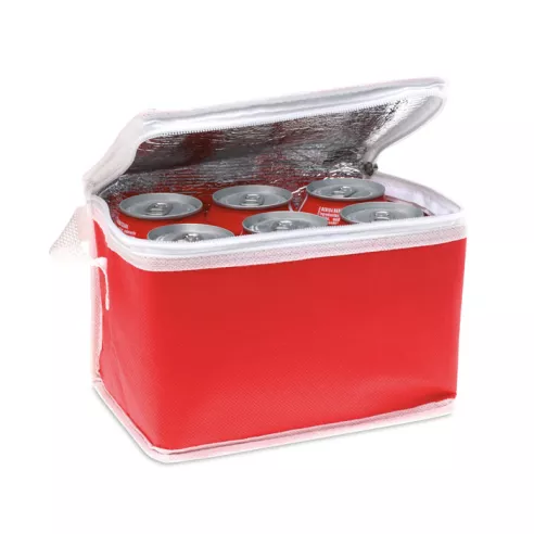 Nonwoven 6 can cooler bag PROMOCOOL