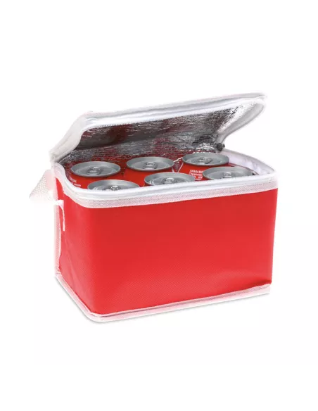 Nonwoven 6 can cooler bag PROMOCOOL