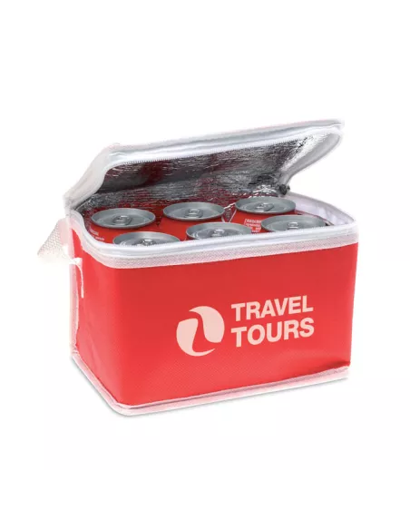 Nonwoven 6 can cooler bag PROMOCOOL