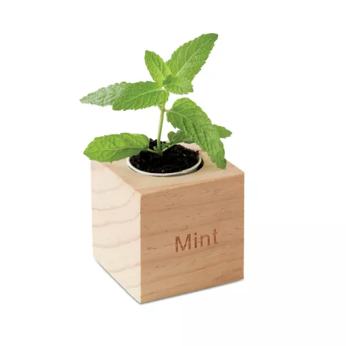 Herb pot wood "MINT" MENTA