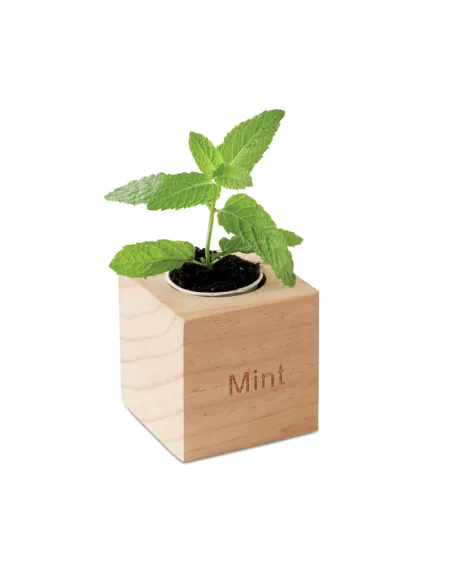 Herb pot wood "MINT" MENTA