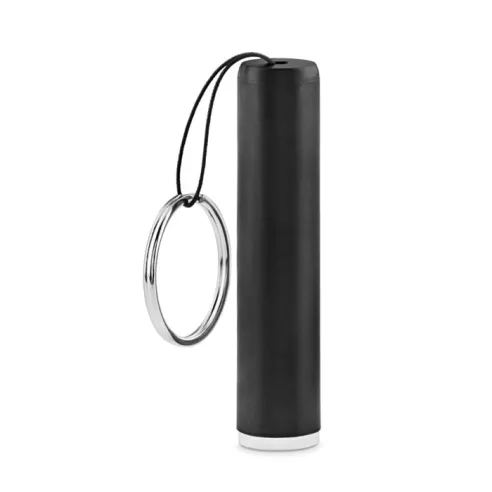 Plastic light up logo torch SANLIGHT