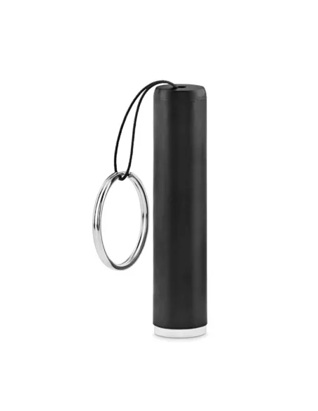 Plastic light up logo torch SANLIGHT