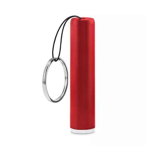 Plastic light up logo torch SANLIGHT