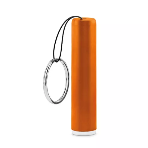 Plastic light up logo torch SANLIGHT