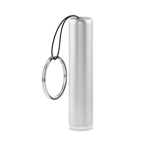 Plastic light up logo torch SANLIGHT