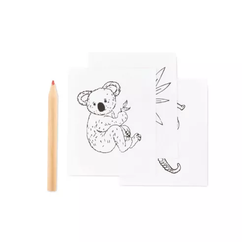 Set para colorear LITTLE VANGOGH
