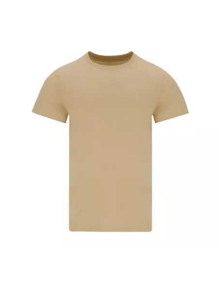 Adult Colour T-Shirt Perkins