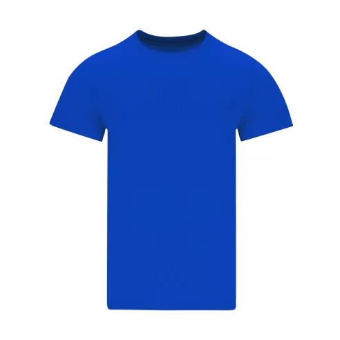 Adult Colour T-Shirt Perkins