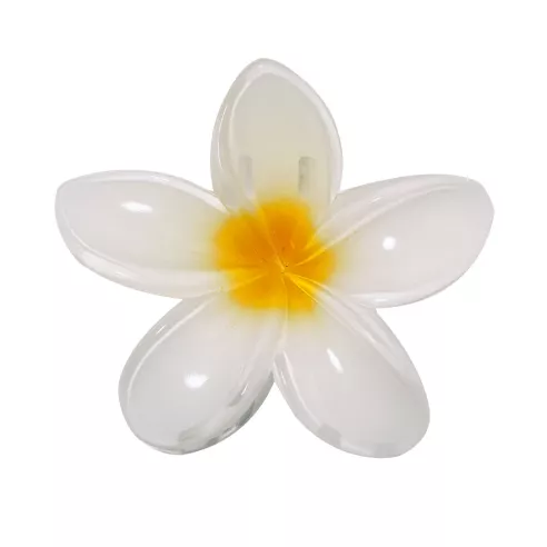 Hair Clip Tixcon