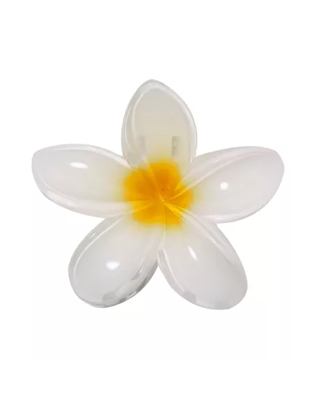 Hair Clip Tixcon