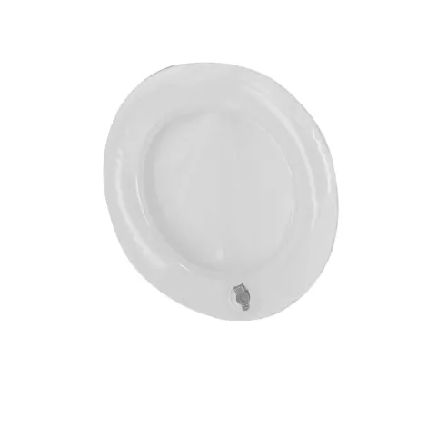 Frisbee Pad Zalox