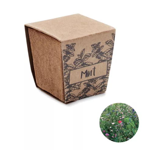 Mint seeds growing kit MINT KIT