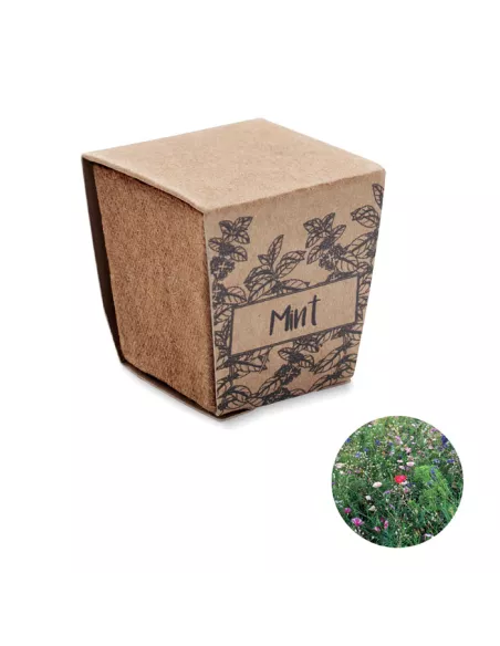 Mint seeds growing kit MINT KIT
