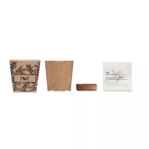 Mint seeds growing kit MINT KIT