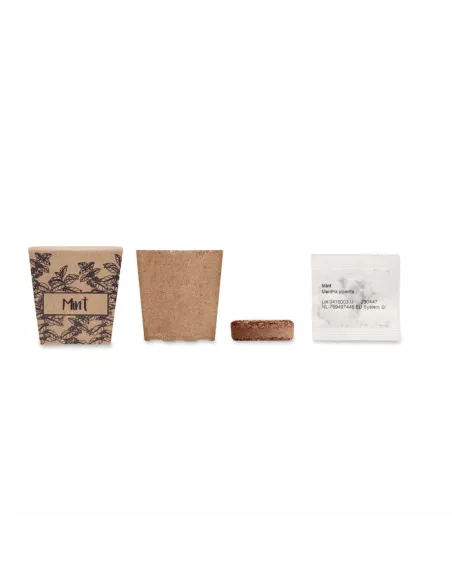 Mint seeds growing kit MINT KIT