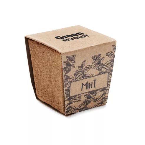 Mint seeds growing kit MINT KIT
