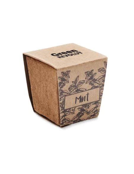 Mint seeds growing kit MINT KIT