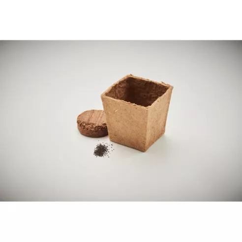 Mint seeds growing kit MINT KIT