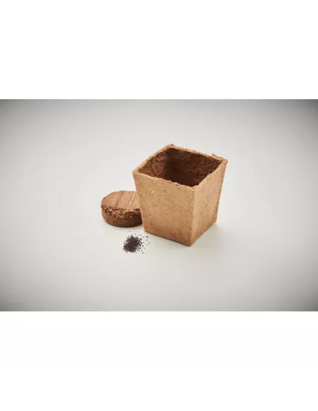 Mint seeds growing kit MINT KIT