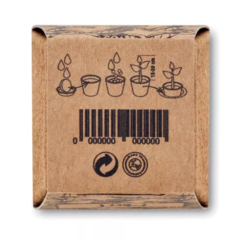 Mint seeds growing kit MINT KIT