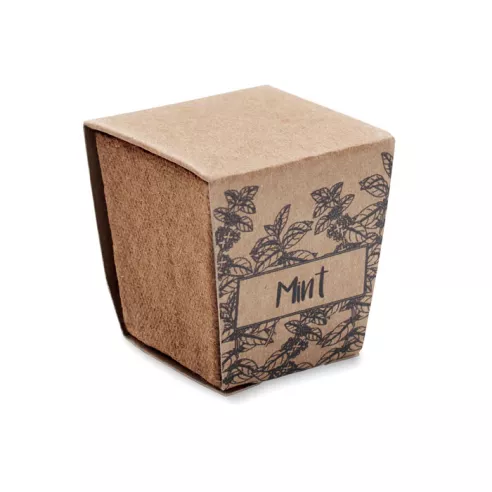 Mint seeds growing kit MINT KIT
