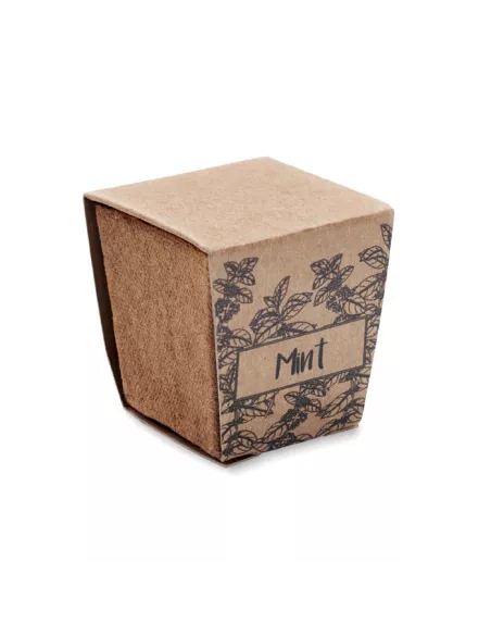 Mint seeds growing kit MINT KIT