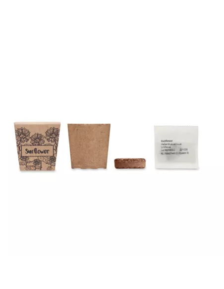 Sunflower growing kit SUNFLOWER KIT