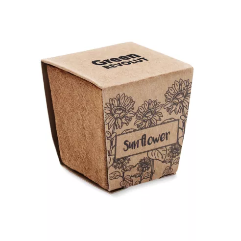 Sunflower growing kit SUNFLOWER KIT