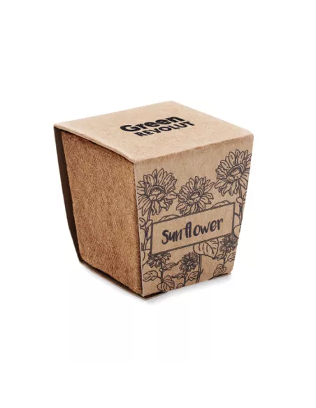 Sunflower growing kit SUNFLOWER KIT