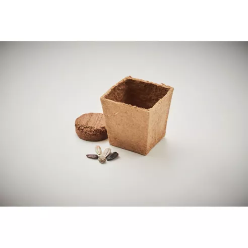 Sunflower growing kit SUNFLOWER KIT