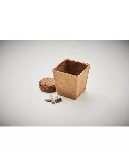 Sunflower growing kit SUNFLOWER KIT
