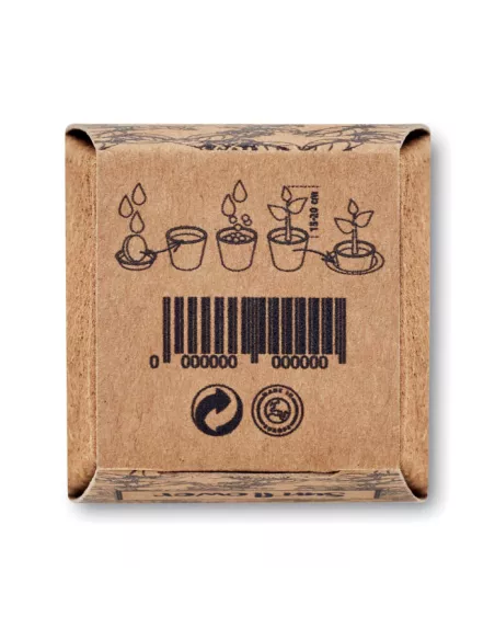 Sunflower growing kit SUNFLOWER KIT