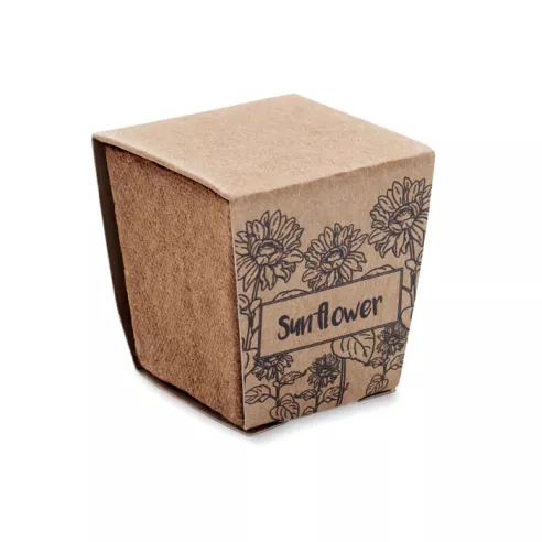 Sunflower growing kit SUNFLOWER KIT