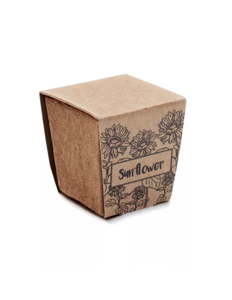 Sunflower growing kit SUNFLOWER KIT