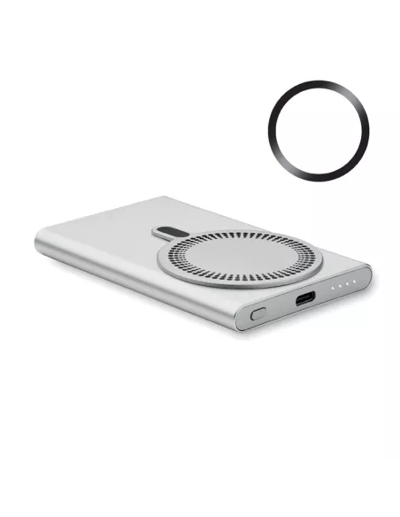 Wireless charger power bank PAWTT