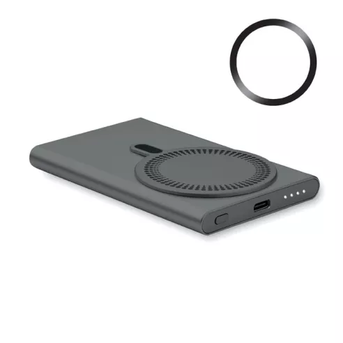 Wireless charger power bank PAWTT