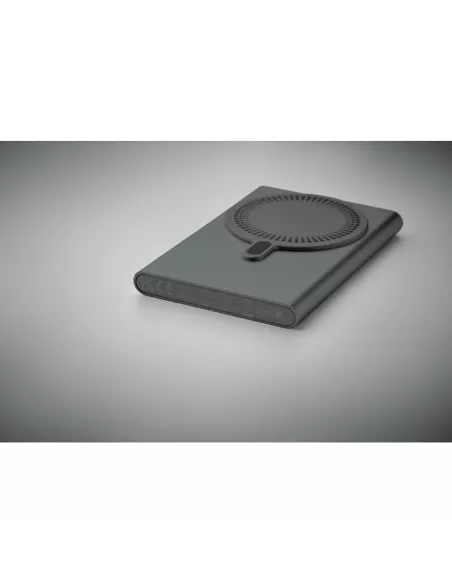 Wireless charger power bank PAWTT