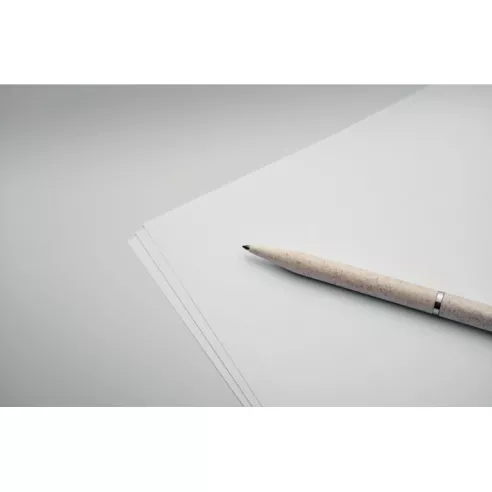 Wheat straw/ABS twist pen set PEAT