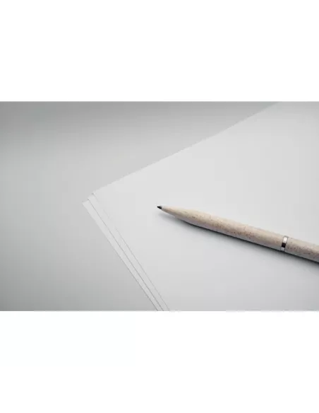 Wheat straw/ABS twist pen set PEAT
