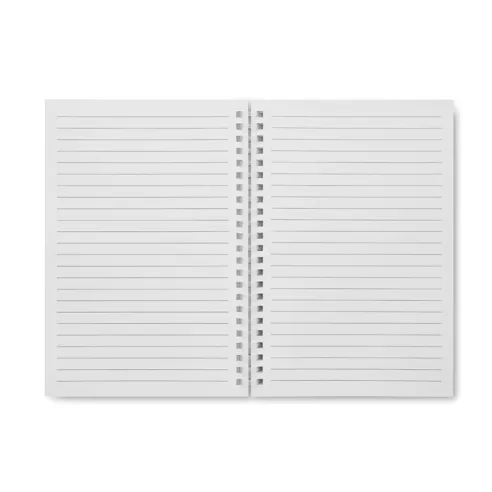 A5 recycled carton notebook RECARNOTE